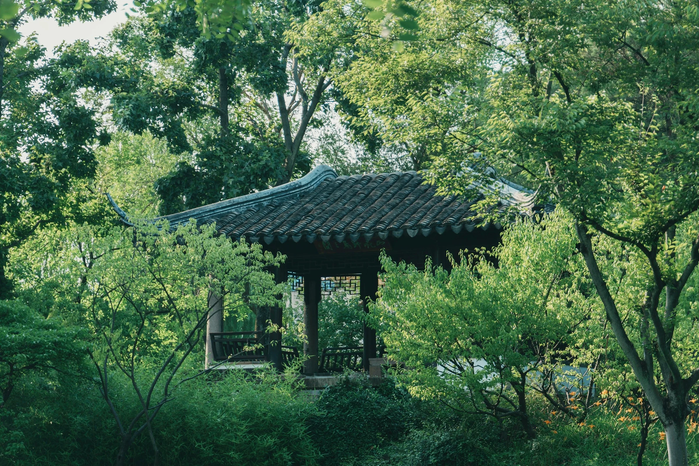 8D Grand Jiangnan: Nanjing, Wuxi, Suzhou & Shanghai - Foto 2