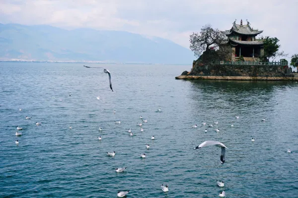 6D Majestic Kunming Dali & Lijiang Highlights