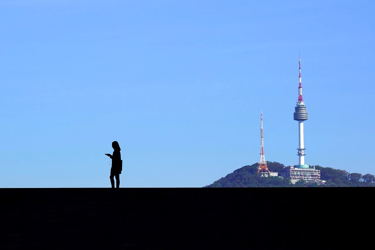 5D Seoul Essential Highlights & Modern City Tour - Foto 4