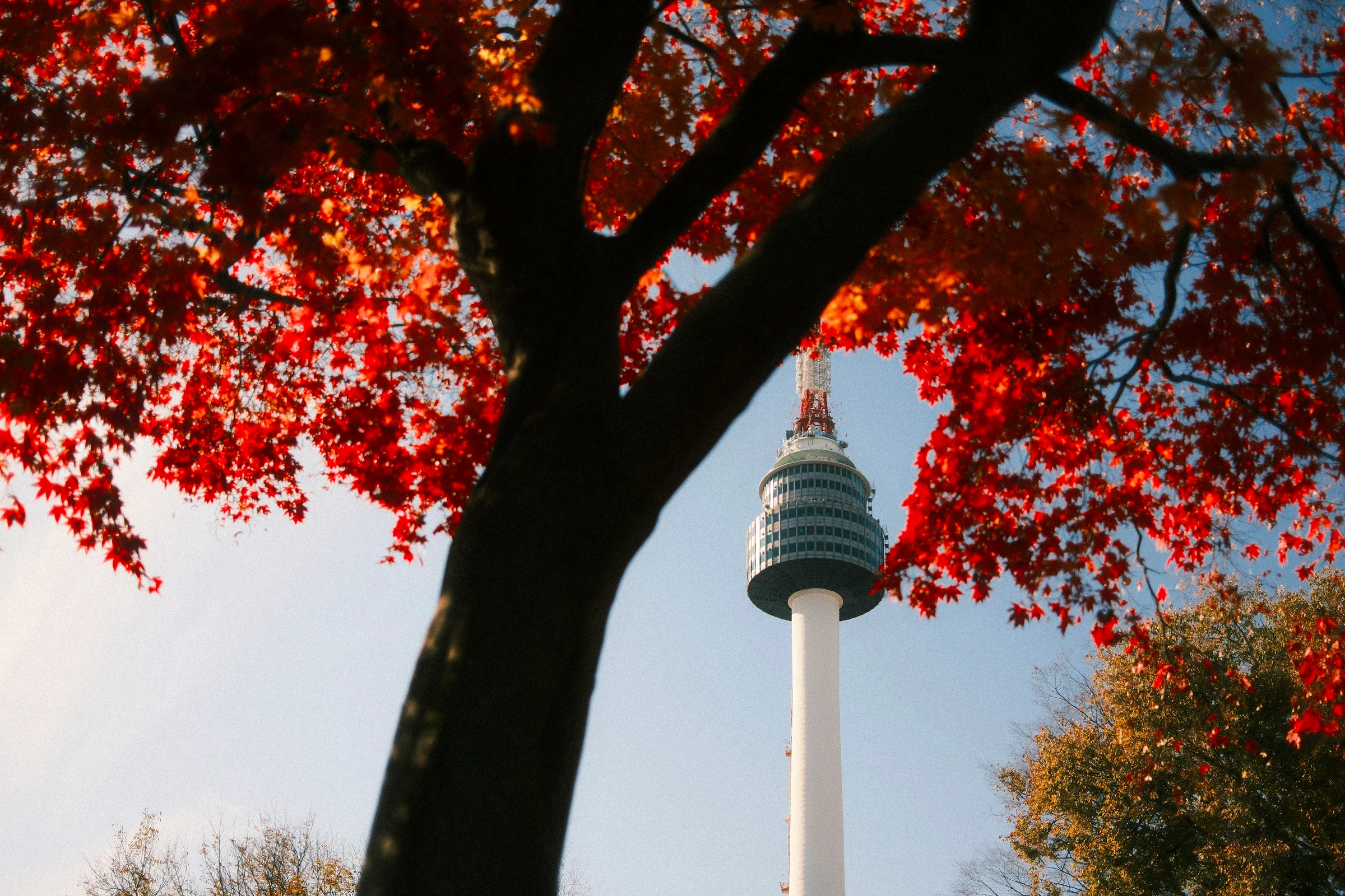 5D Seoul Essential Highlights & Modern City Tour - Foto 10