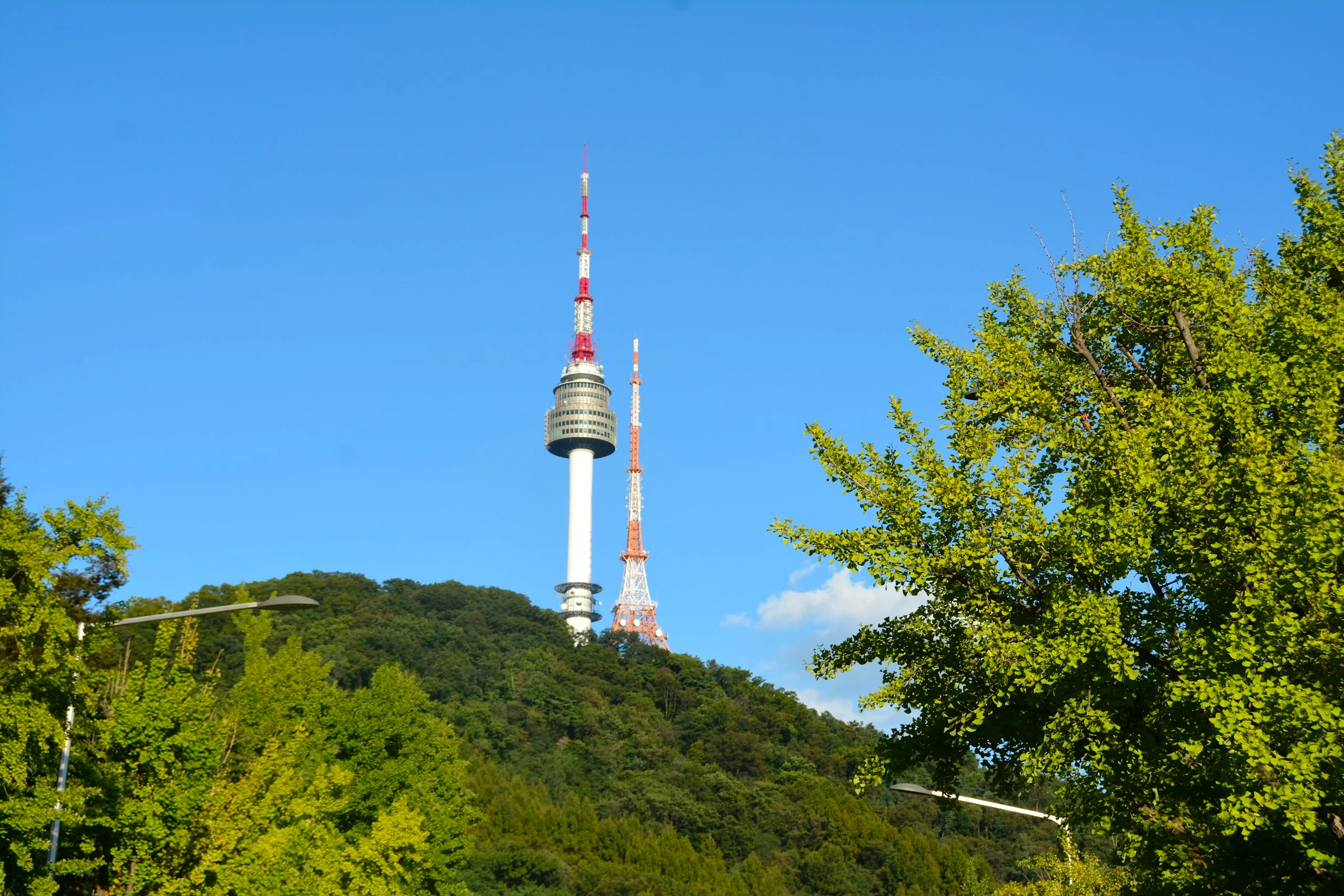 5D Seoul Essential Highlights & Modern City Tour - Foto 8