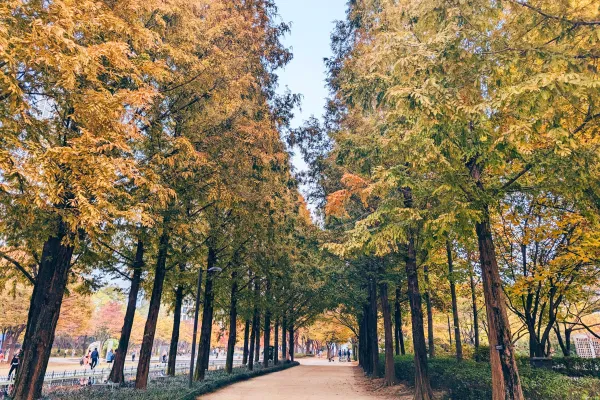 6D Classic Korea Seoul and Mt Seorak